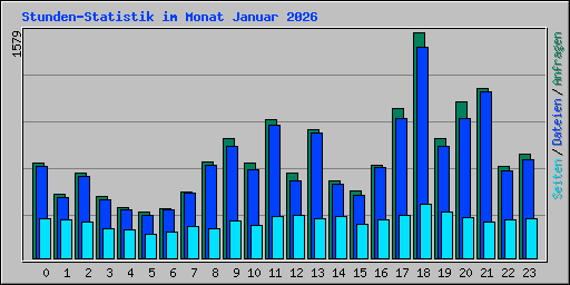 Stunden-Statistik im Monat Januar 2026